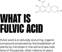 blk-ph-8-natural-mineral-alkaline-water--2.jpg