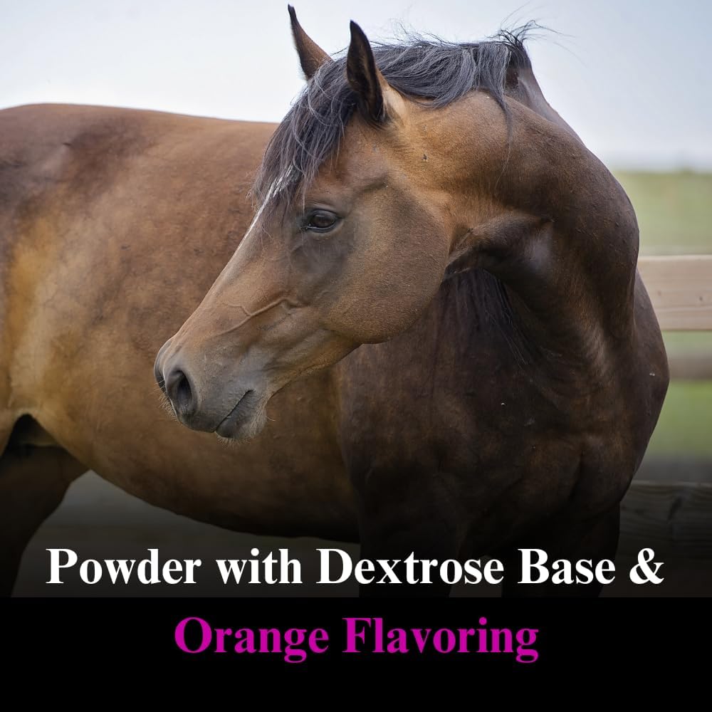 su-per-stress-ex-horse-electrolyte-suppl-4.jpg