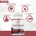 bioyouth-labs-natural-cholesterol-loweri-2.jpg
