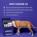 wonder-paws-skin-coat-supplement-for-dog-6.jpg
