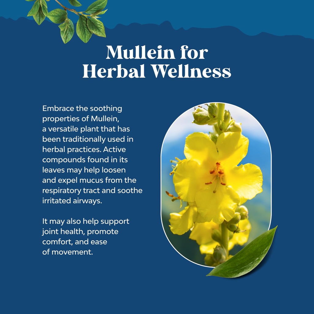 organic-mullein-drops-for-lungs-lung-det-5.jpg