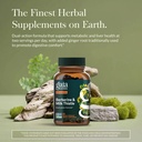 gaia-herbs-berberine-milk-thistle-suppor-4.jpg