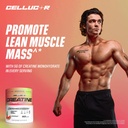 cellucor-creatine-powder-watermelon-flav-5.jpg