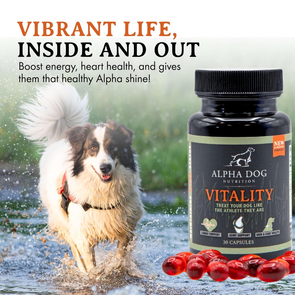 krill-oil-for-dogs-vitality-by-alpha-dog-4.jpg
