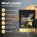 pure-himalayan-shilajit-gummies-micronut-6.jpg
