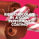 luna-bar-chocolate-peppermint-stick-flav-6.jpg