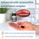 igennus-vegan-omega-3-natural-algae-oil--5.jpg
