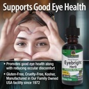 nature-s-answer-eyebright-herb-supports--2.jpg