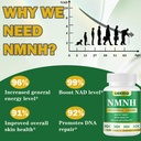 nmnh-supplement-1000mg-liposomal-pure-ni-4.jpg