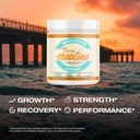 american-standard-supplements-pure-creat-3.jpg