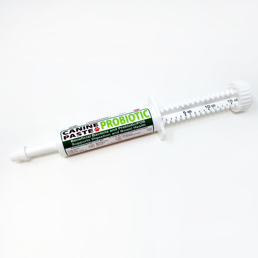 Dogzymes Canine Probiotic Paste Beneficial 박테리아 효소 2.3 억 CFU / gm Saccharomyces boulardii 유기 건조 꿀 분말 (15 그램)