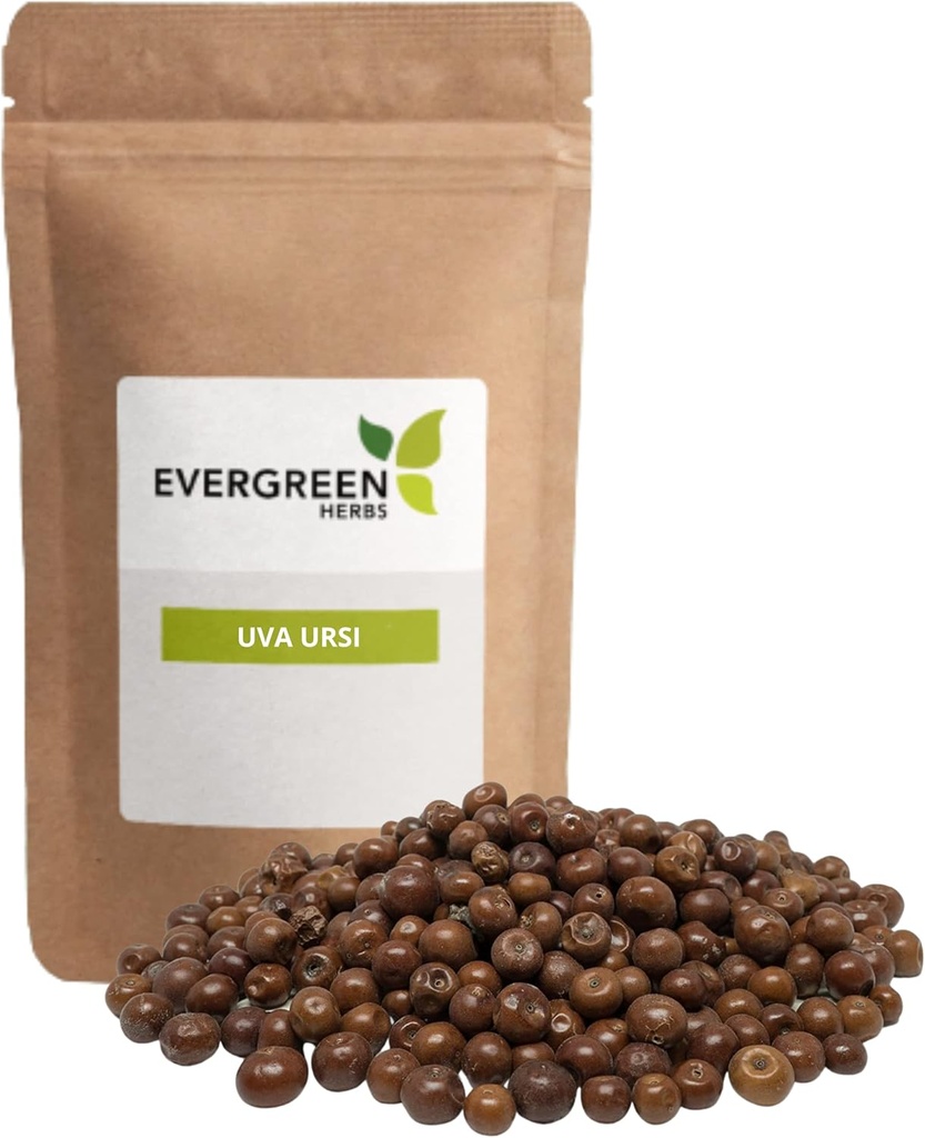 Evergreen Herbs Pinguica Fruto - Uva Ursi Fruit (8 oz.) - 신선함을 보장하기 위해 파우치를 보관할 수 있습니다!