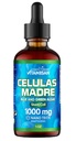 Celulas Madres 줄기 세포 지원, 식물 기초를 두어, Adaptogen 혼합, 염색, Rhodiola Rosea, Afa, Astragalus, B Complex, Reishi, Ganoderma, 파란 녹색 조류, Spirulina, 1000mg 자연적인 13 열쇠 성분.