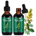 Lungs를 위한 Mullein 잎 추출물, Lungs를 위한 Mullein 하락, 건강한 호흡, 폐 기능, 자연적인 & 안전한 보충교재 (2 PC)에 있는 개선을 위한 지원 Lung, 호흡 기능