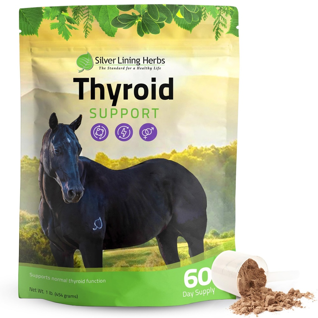 Silver Lining Herbs Thyroid Support for Horse – 정상적인 갑상선 기능, 호르몬 균형 & 아일랜드 모스와 건강한 대사, Kelp, Parsley – 120 일 공급