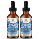 2000MG Liposomal 글루타티온 액체, 98% 흡수, 활동적인 모양 L 글루타티온 보충교재, Vegan 친절한, Immune 체계, 노후화 방위, Detox, 4 FL.OZ를 위한 강력한 산화 방지제 Complex
