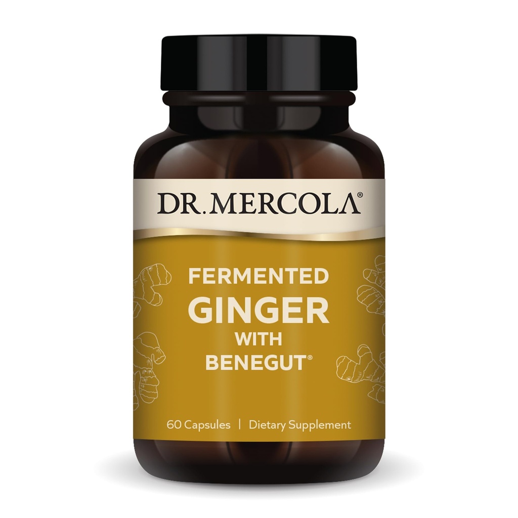 Benegut와 Mercola Fermented Ginger 박사 - 소화 및 Gut 건강 지원 - Aids Occasional Gas, Bloating & Discomfort - Non-GMO, 글루텐 프리 & Soy-Free - 60 캡슐 (60 인분)