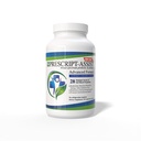 Pea Protein Advanced와 Digestive & Immune Health에 대한 Prebiotics & Probiotics - 식물 기반 28 Strains Soil Microflora - Vegan, 근육 회복 및 Gut Health 지원, 60 캡슐 Prescript Assist