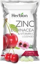 HERBION 자연적인 아연, Echinacea & 비타민 C Lozenges 25 CT의 성인 & 아이들 5+를 위한 규정식 보충교재는, 전체적인 가족, 25 조사, 버찌, 1의 팩을 위한 웰니스를 승진시킵니다