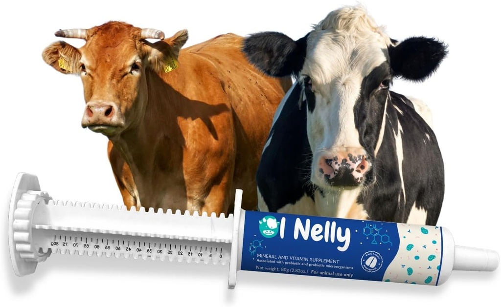 Ruminants Pre and Probiotic Paste (80g) - 비타민과 미네랄 - 6 Strains 및 8 Billion CFU- Immune 및 Gastro Health Support for All Ruminants : Bovines, Goats & More