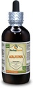 Arjuna (Terminalia Arjuna) Tincture, 유기 건조 된 Bark 액체 추출 (브랜드 이름: HerbalTerra, 미국에서 만들어진 Proudly) 4 fl.oz (120 ml)