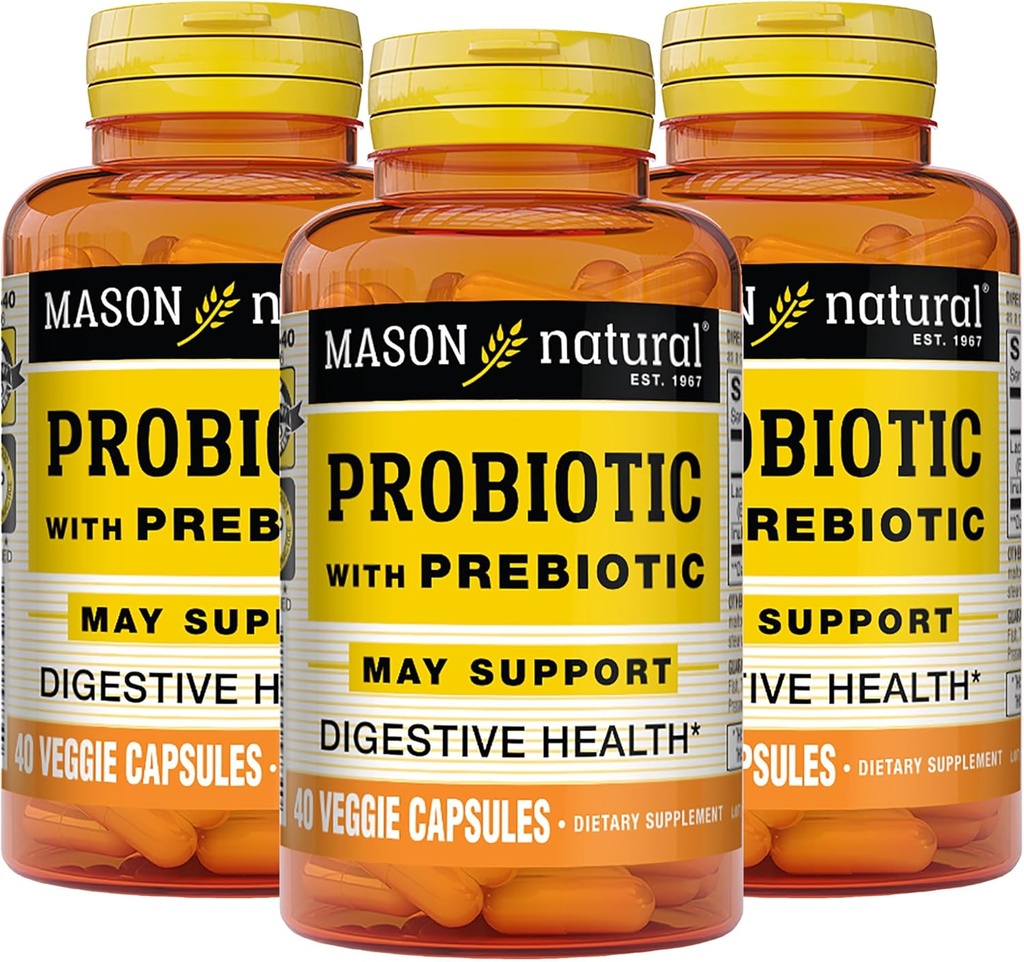 Prebiotic을 가진 Mason 자연적인 Probiotic, 정상적인 소화 기능 & 개량한 Gut 건강을 위한 120 일 공급, 3 팩