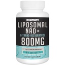 Trans-Resveratrol를 가진 Liposomal NAD+ 800 mg 300 mg, 최대 흡수, 실제적인 NAD+ 건강한 노후화, 세포 에너지, DNA 수리, Longevity에 대한 보완 - 60 Softgels