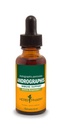 Immune 시스템 지원을위한 허브 Pharm Andrographis 액체 추출, 1 Fl Oz (팩 1) (DANDRO01)