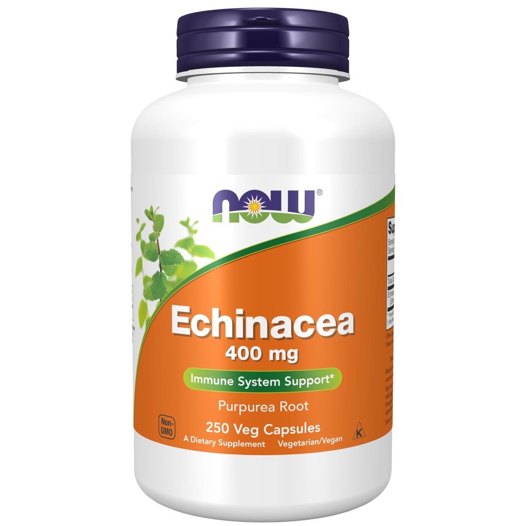 지금 보충 교재, Echinacea (Purpurea 뿌리) 400 mg의 면역 체계 Support*, 250 Veg 캡슐