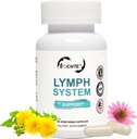림프 시스템 지원 보충교재 - Echinacea purourea 추출물, Dandelion 추출물 60 조사를 가진 림프 배수장치 보충교재