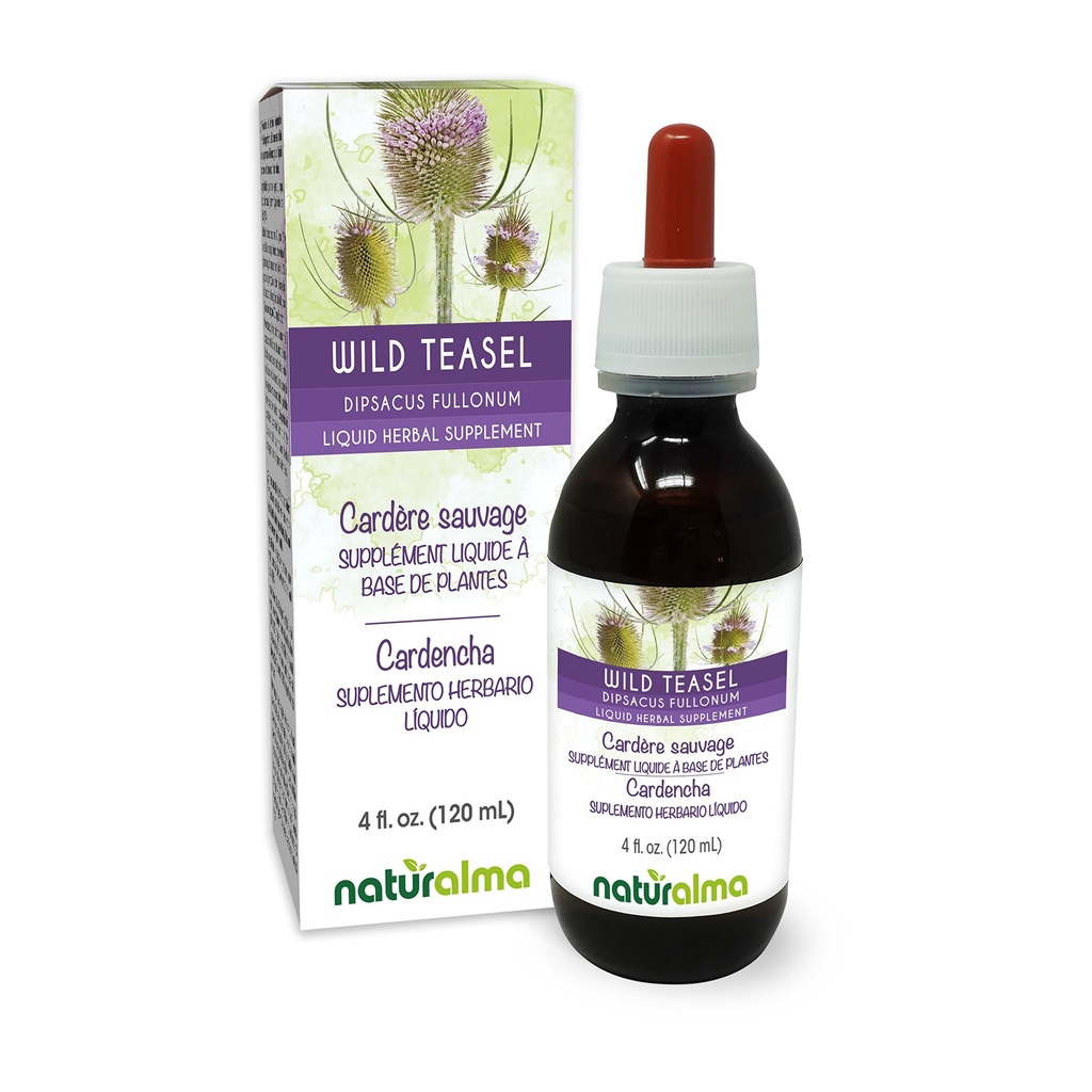 Naturalma Wild Teasel 또는 Fuller's Teasel (Dipsacus fullonum 또는 D. sylvestris) 뿌리 알코올 - 무료 Tincture - 4 fl oz 액체 추출물 - 허브 보충 - Vegan