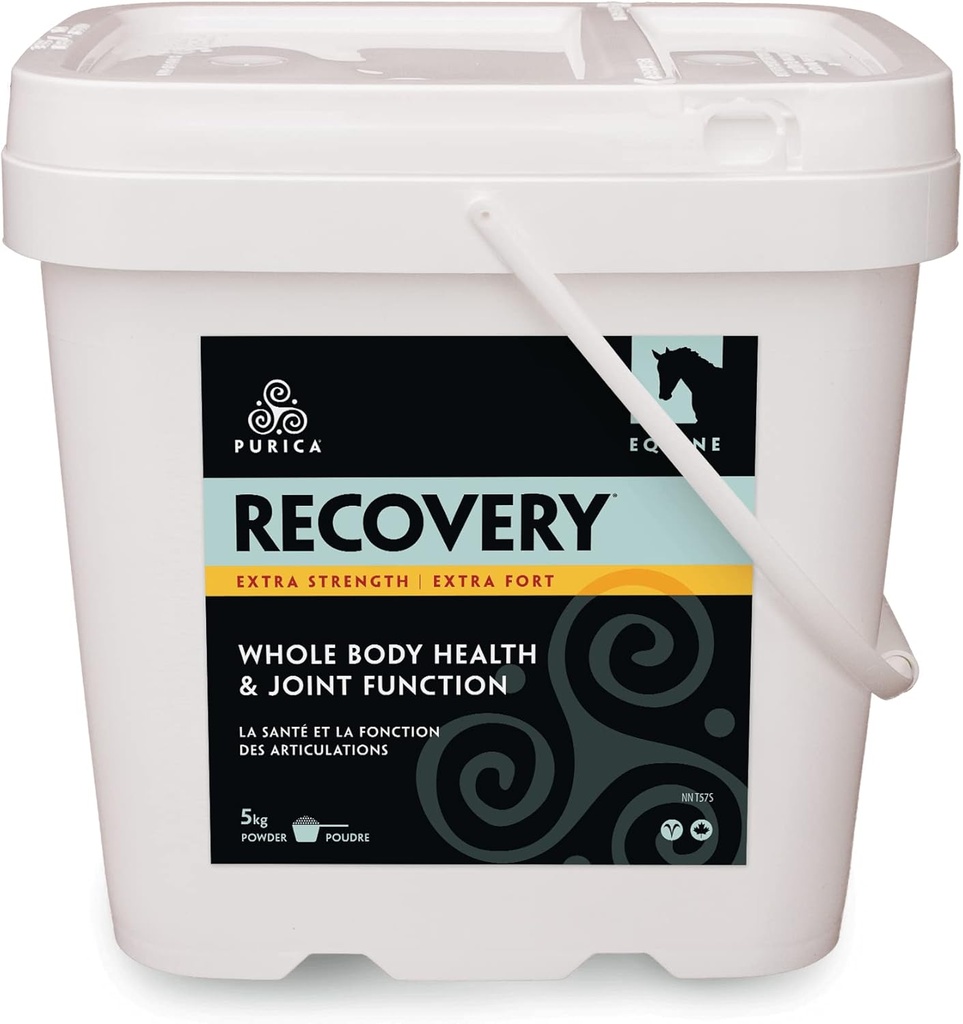 PURICA Recovery Extra Strength - Equine Joint Supplement - 말을위한 포괄적 인 지원 - 수석 말을위한 이상적인 말 합동 보충, MSM 파우더 포함 - 11 파운드 분말