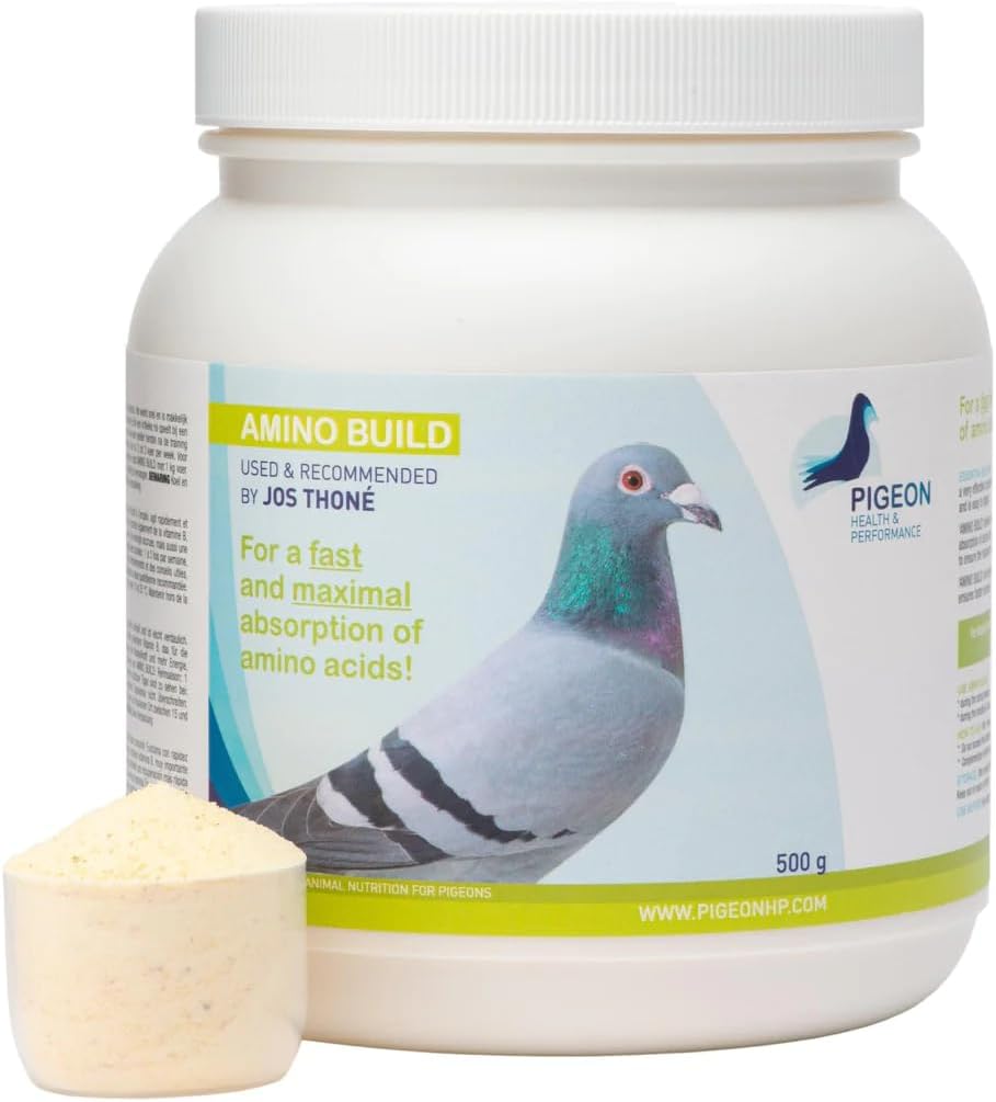 일반 PHP 아미노산 빌드 500g - 근육 빌딩 아미노산 비둘기 건강 및 성능
