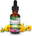 자연의 답 Elecampane 뿌리 유기 알코올, 1-Fluid Ounce