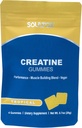 Soultox 크레아틴 거미 팩 - 열대 맛 - Creatine Monohydrate와 주입 - 강력한 근육 성장 지원 - Guilt Free Indulgence에 대한 맛있고 모든 자연 채식 공식 - 10 팩