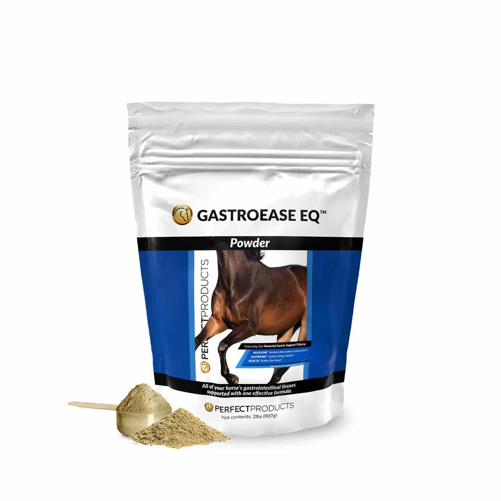 GastroEase EQTM 완전한 소화 지원 분말 2LB