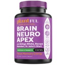 Nootropic Brain Supplement for Focus, Energy, Memory & Clarity Booster | Ginkgo Biloba, St Johns Wort, Bacopa Monnieri와 함께 성인을위한 빠른 흡수 두뇌 비타민