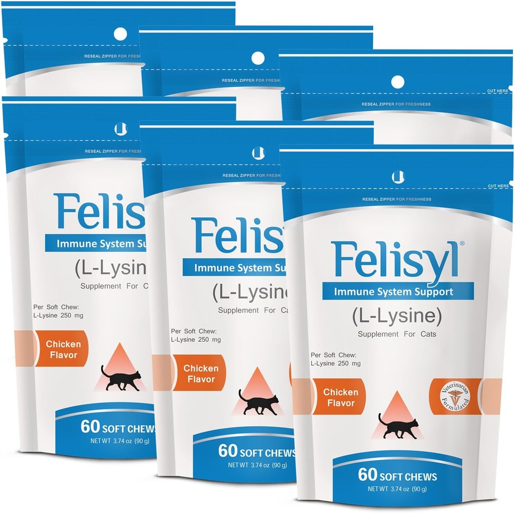 고양이 (60 Soft Chews) 용 L-Lysine Soft Chews – 면역, 호흡 및 눈 건강을 지원합니다. 뱀, 토끼 코, 그리고 물 눈. 연어 맛 - (6 팩)