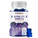 알파 GPC 콜린 Gummies 600mg 포스파티딜 세린 & Bacopa - 기억, 초점 & 장기 Cognitive 건강 - 설탕 자유로운, 자연적인 공식, 60 조사를 위한 3에서 1 뇌 지원