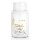 Biogena Pycnogenol 100 mg 골드 프리미엄 특허 프랑스 해상 소나무 껍질 추출 (Pinus Pinaster) 혈액 순환 지원