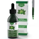 Chlorophyll 액체 방울 - 100 % 천연 에너지 부스터 및 면역 지원 - 내부 탈취제 및 해독 - 고도 Sickness 완화 - 빠른 흡수, Vegan & Non-GMO - 120 서빙 (팩 1)