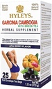 HYLEYS Tea Garcinia Cambogia 녹차 Acai Berry 맛 - 25 티백 (12 팩 - 300 티백 총)