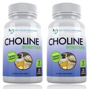 프리미엄 콜린 - 500 mg - 120 Veggie 캡슐 - Cognitive Health, Memory & More - 2 Pack 지원