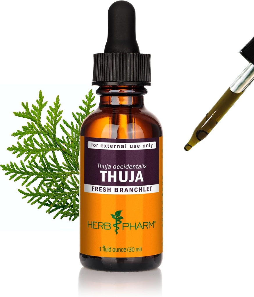 허브 Pharm Thuja 분기 액체 추출 - 1 Ounce (DTHUJA01)