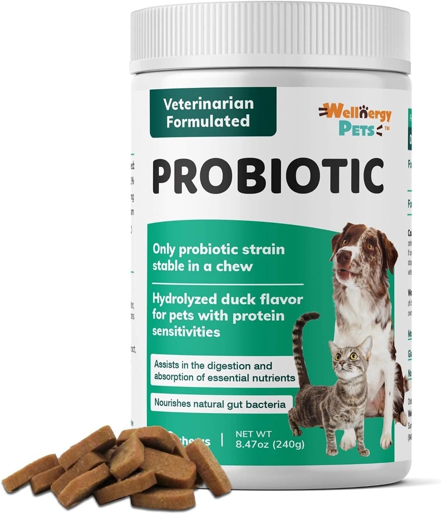 Wellnergy Daily Probiotic & Prebiotics Soft Chew for Dogs & Cats - Diarrhea, Constipation, Upset Stomach, Indigestion & Gas - 소화, 알레르기 피부 및 면역 건강 160ct에 대한 소화 지원