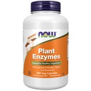 지금 식품 보충제, 식물 효소 Lactase, Protease, Papain 및 Bromelain, 240 Veg 캡슐