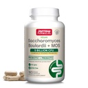 Jarrow Formulas Saccharomyces Boulardii + MOS - 서빙 당 5 억 기관 - 180 지연 릴리즈 Veggie Caps - Probiotic + Prebiotic - Intestinal Tract Support - 180까지 서빙