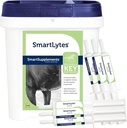SmartEquine SmartLytes 말 Electrolyte 분말 보충교재 & SmartLytes 페이스트 말 Electrolyte 페이스트 6 튜브 번들, Encourages Hydration, Replenishes Electrolytes, 추가 설탕 없음