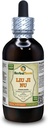 Liu Ji Nu, Artemesia (Artemisia Anomala) Tincture, 건조 허브 액체 추출 (브랜드 이름: HerbalTerra, Proudly Made in USA) 4 fl.oz (120 ml)