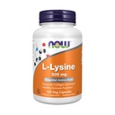 지금 식품 보충제, L-Lysine (L-Lysine Monohydrochloride) 500 mg, 아미노산, 100 Veg 캡슐